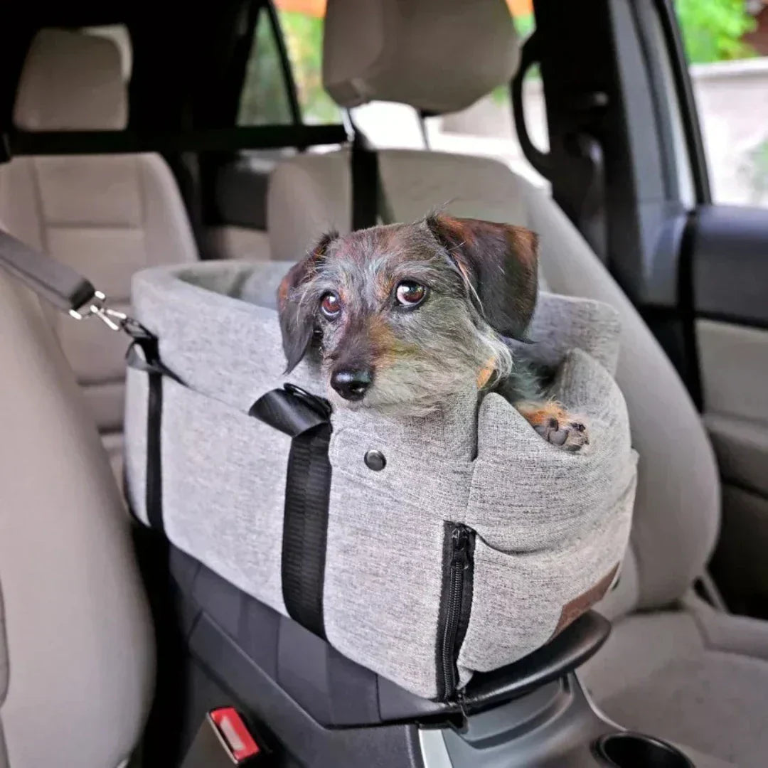 PetCruza Car Dog Seat for Small Dogs Up to 11 kg with Padded Safety and Easy Installation