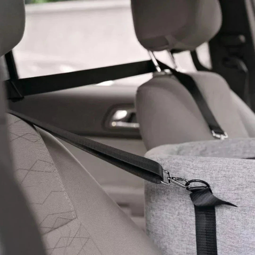 PetCruza Car Dog Seat for Small Dogs Up to 11 kg with Padded Safety and Easy Installation
