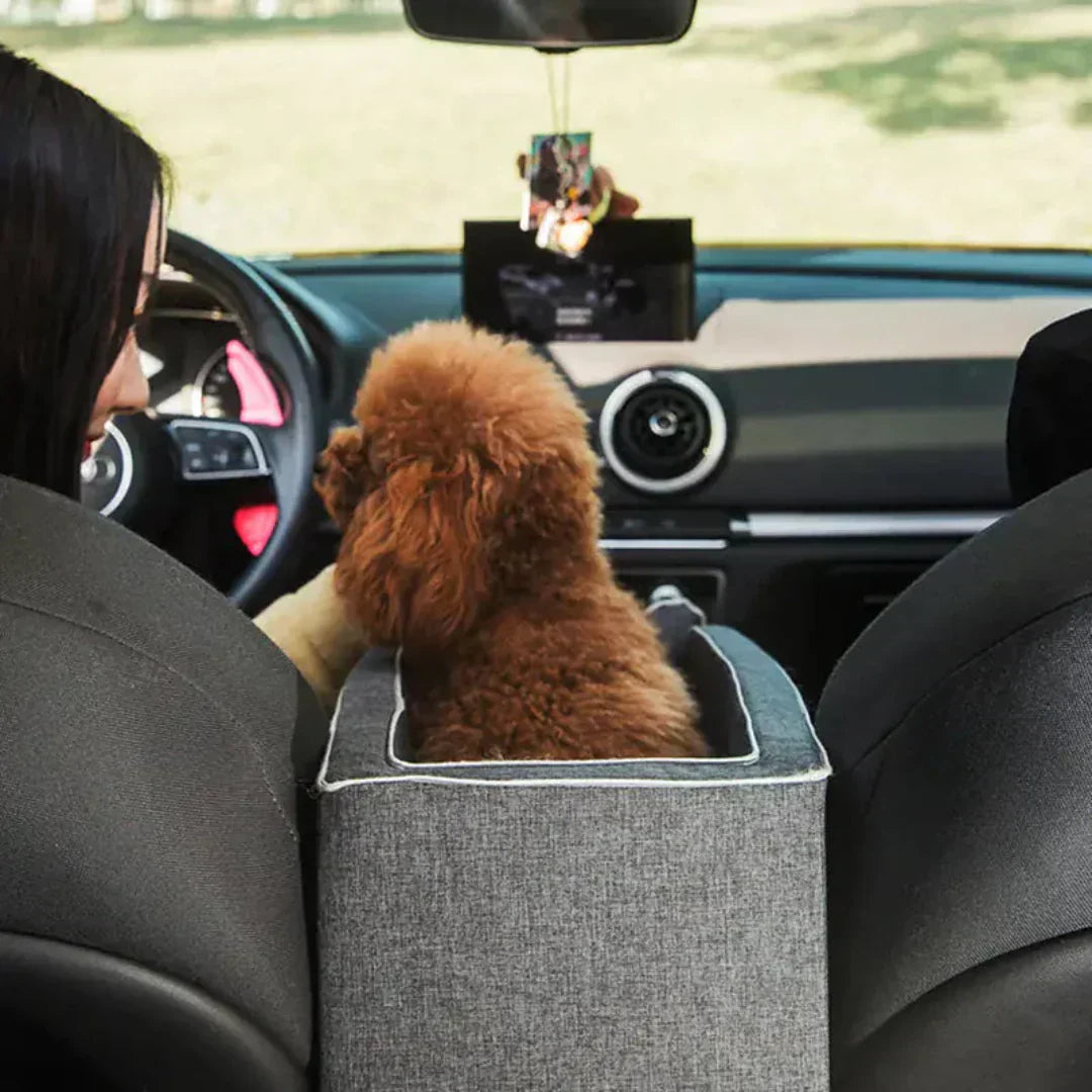 PetCruza Car Dog Seat for Small Dogs Up to 11 kg with Padded Safety and Easy Installation