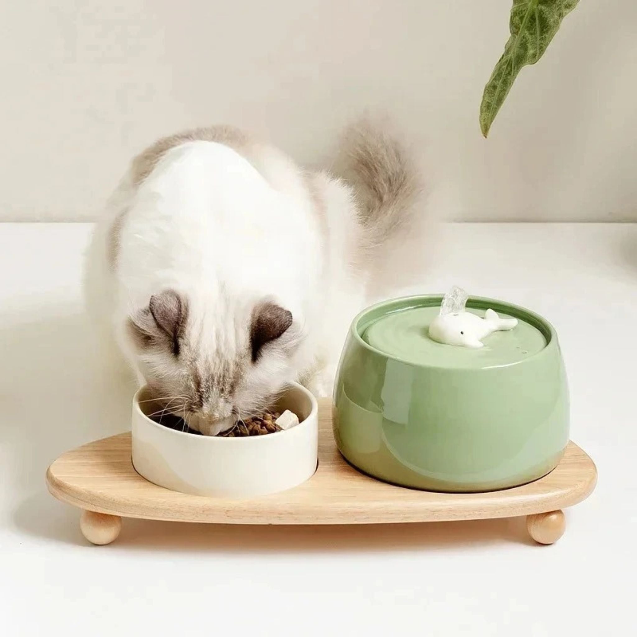 Ceramic Cat Water Fountain 1.3L with Dual Filtration Quiet USB-Powered Pet Hydration Fountain