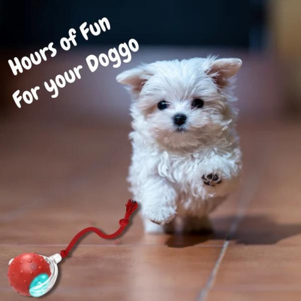 ChewRoll Interactive Rolling Ball Dog Toy Durable Non-Toxic Self-Propelled Anxiety Relief