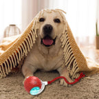 ChewRoll Interactive Rolling Ball Dog Toy Durable Non-Toxic Self-Propelled Anxiety Relief