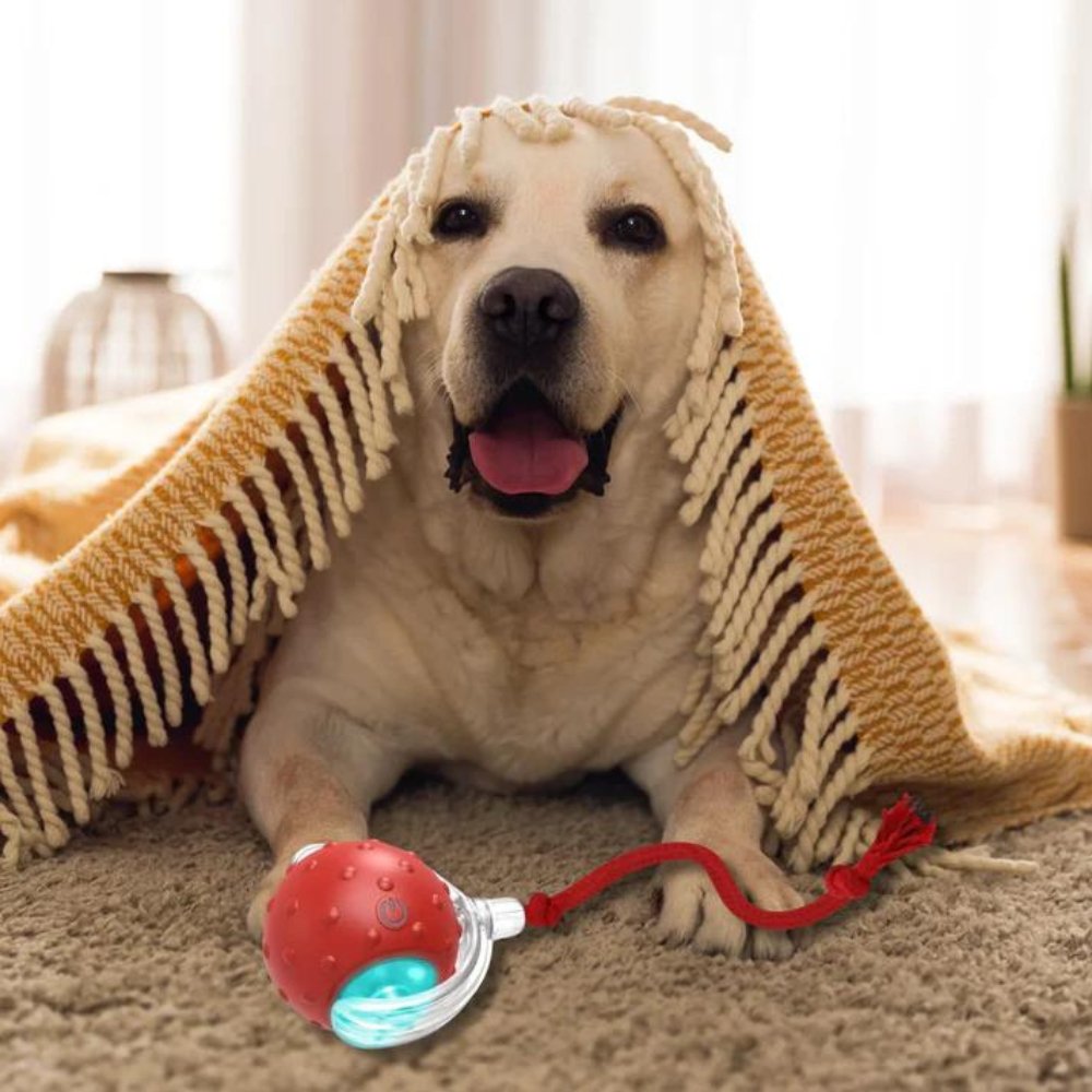 ChewRoll Interactive Rolling Ball Dog Toy Durable Non-Toxic Self-Propelled Anxiety Relief