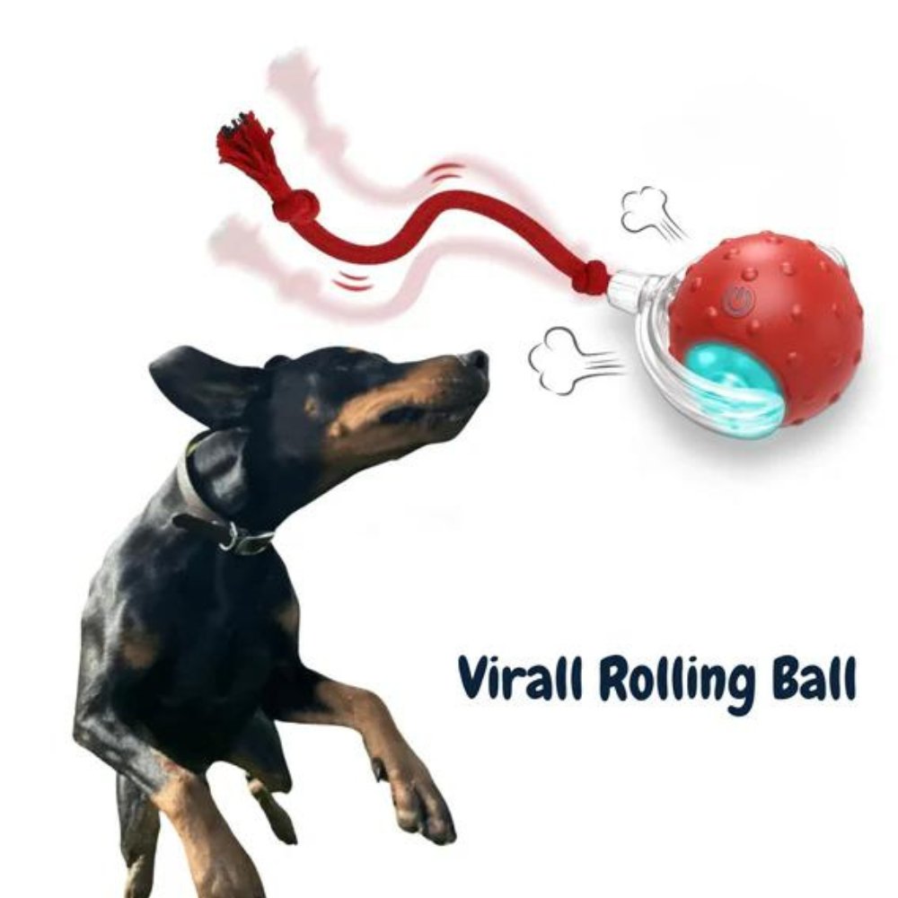 ChewRoll Interactive Rolling Ball Dog Toy Durable Non-Toxic Self-Propelled Anxiety Relief