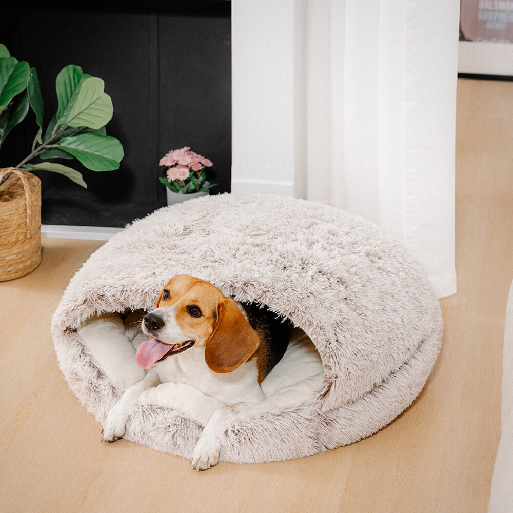 Semi-Open Cotton Pet Bed Soft Plush Nest with Non-Slip Base for Cats and Small Pets