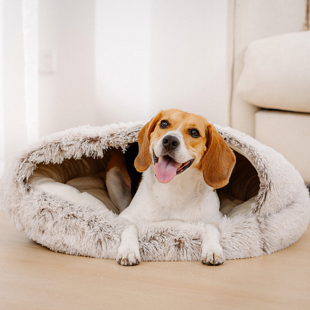 Semi-Open Cotton Pet Bed Soft Plush Nest with Non-Slip Base for Cats and Small Pets