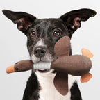 Plush Duck Dog Toy with Squeaker Soft Durable Fabric for Puppies and Adult Dogs