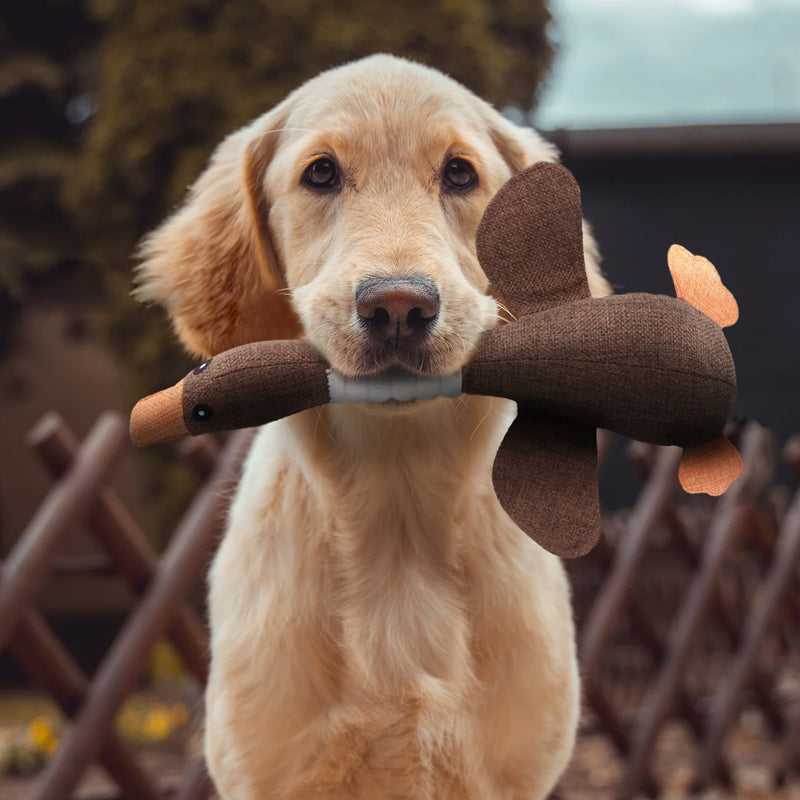 Plush Duck Dog Toy with Squeaker Soft Durable Fabric for Puppies and Adult Dogs