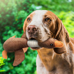 Plush Duck Dog Toy with Squeaker Soft Durable Fabric for Puppies and Adult Dogs