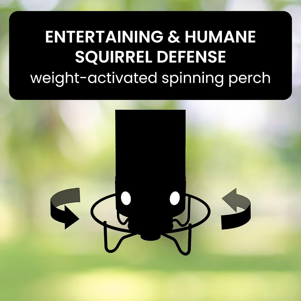 Davy Squirrel Proof Bird Feeder with Multiple Feeding Ports Clear Weather-Resistant Seed Container