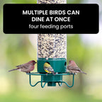Davy Squirrel Proof Bird Feeder with Multiple Feeding Ports Clear Weather-Resistant Seed Container