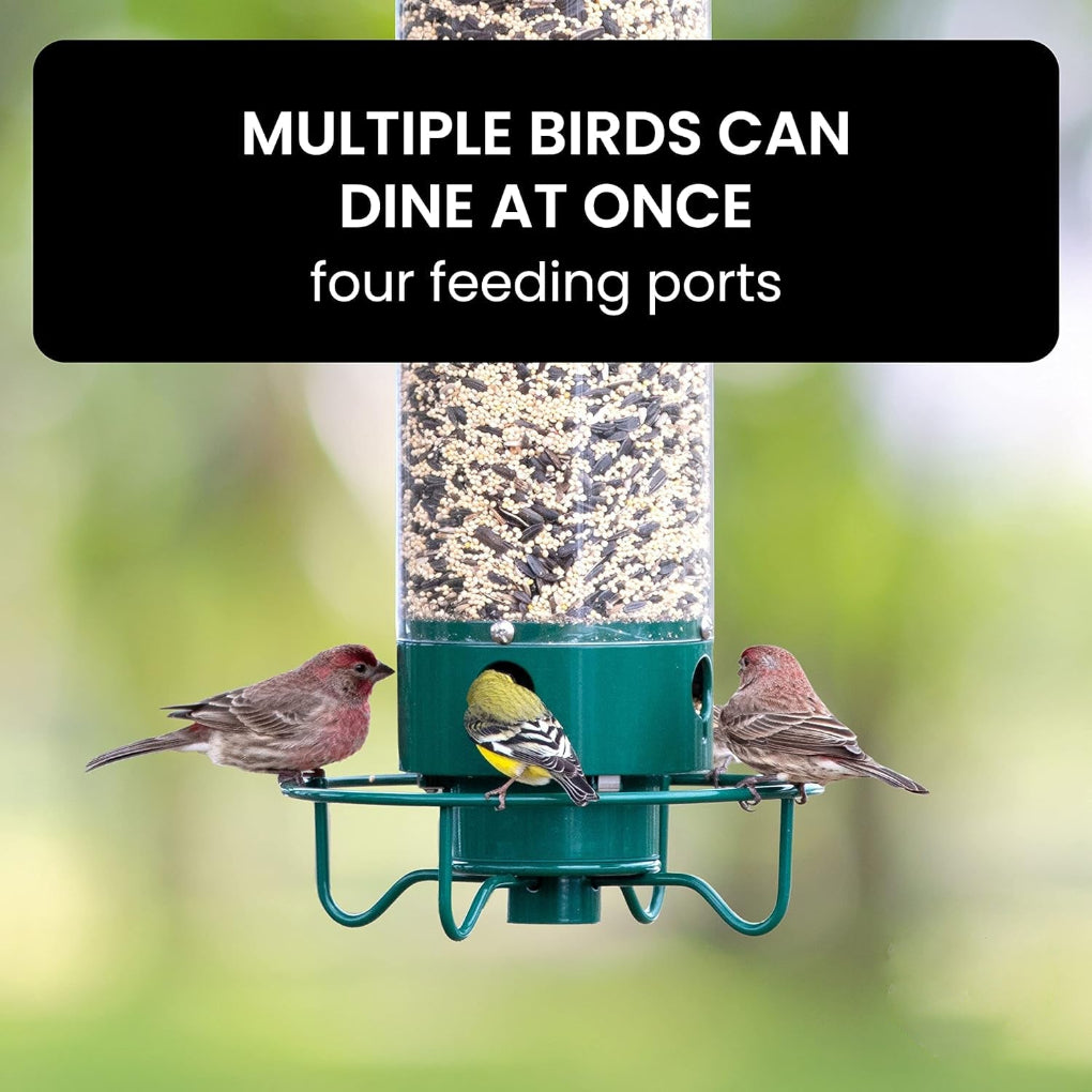 Davy Squirrel Proof Bird Feeder with Multiple Feeding Ports Clear Weather-Resistant Seed Container