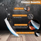 Japanese Chef Knife 25.5cm Stainless Steel Blade Ergonomic Wooden Handle with Protective Case