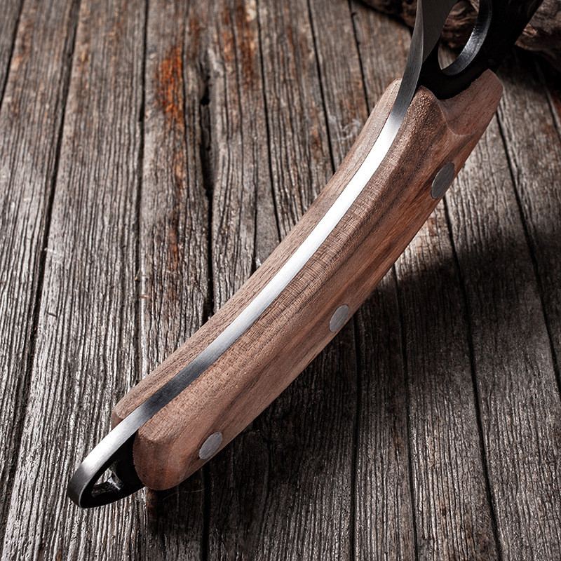 Japanese Chef Knife 25.5cm Stainless Steel Blade Ergonomic Wooden Handle with Protective Case