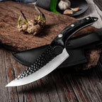 Japanese Chef Knife 25.5cm Stainless Steel Blade Ergonomic Wooden Handle with Protective Case