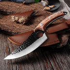 Japanese Chef Knife 25.5cm Stainless Steel Blade Ergonomic Wooden Handle with Protective Case