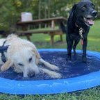SplashyPaws Non-Slip Sprinkler Splash Pad Water Play Mat for Dogs and Kids with Adjustable Settings