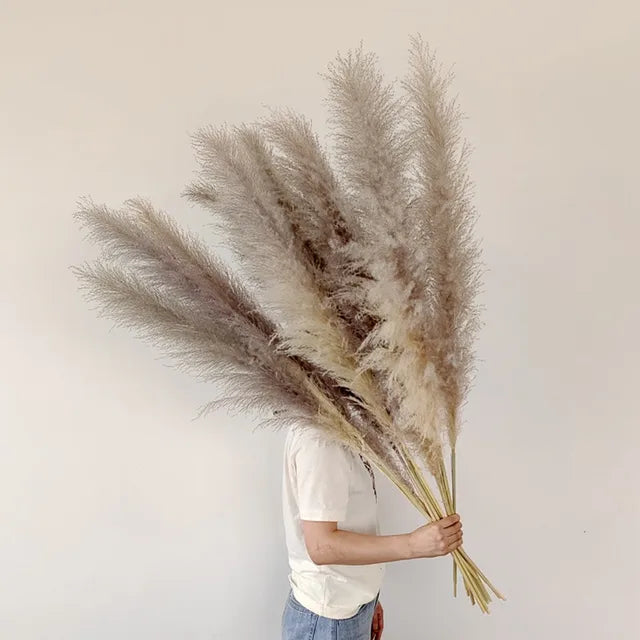 Sylara Dried Pampas Grass 110-120cm Feather-Light Rattan Boho Home Decor and Wall Display