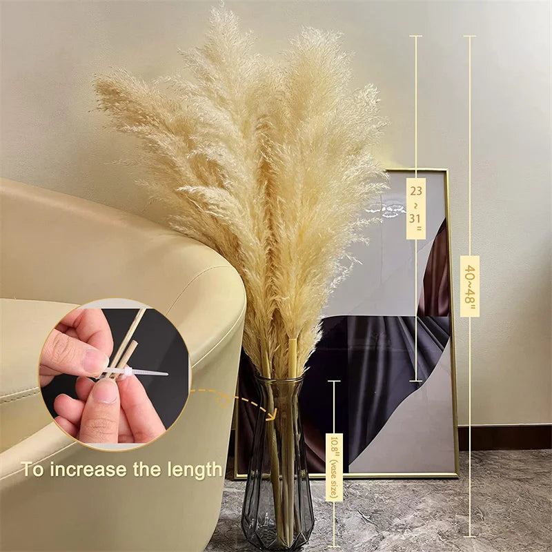 Sylara Dried Pampas Grass 110-120cm Feather-Light Rattan Boho Home Decor and Wall Display