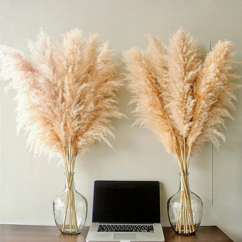 Sylara Dried Pampas Grass 110-120cm Feather-Light Rattan Boho Home Decor and Wall Display