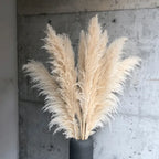 Sylara Dried Pampas Grass 110-120cm Feather-Light Rattan Boho Home Decor and Wall Display