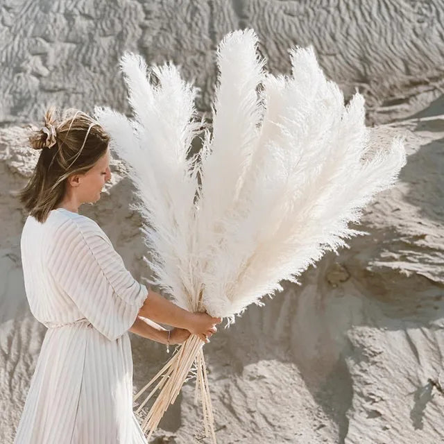 Sylara Dried Pampas Grass 110-120cm Feather-Light Rattan Boho Home Decor and Wall Display