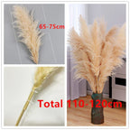 Sylara Dried Pampas Grass 110-120cm Feather-Light Rattan Boho Home Decor and Wall Display