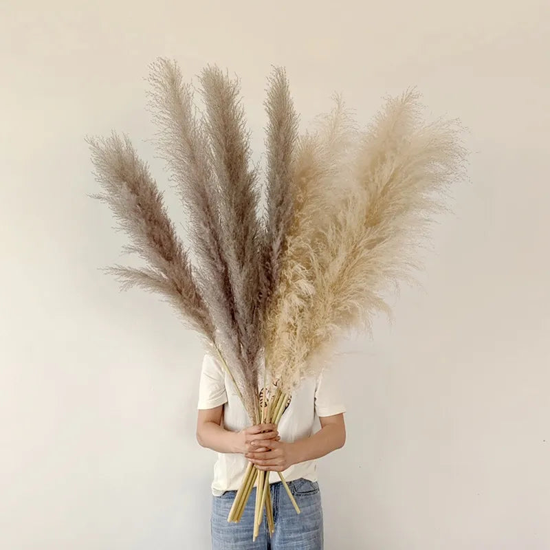 Sylara Dried Pampas Grass 110-120cm Feather-Light Rattan Boho Home Decor and Wall Display